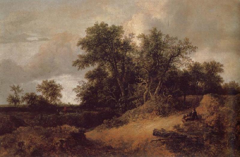 Jacob van Ruisdael Dune Landfscape oil painting image